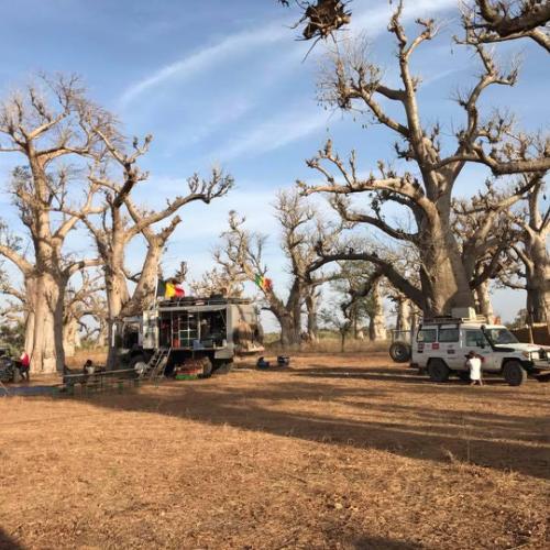 Gordon raid Sénégal 2017