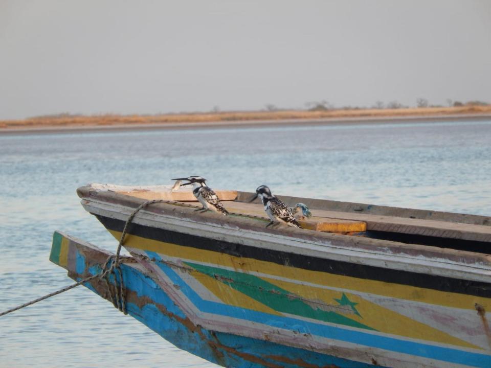 Gordon Raid Sénégal 2019