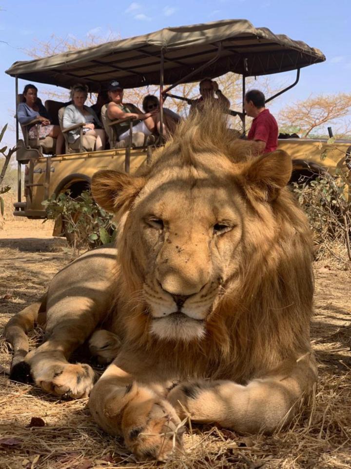 Gordon Raid Sénégal 2019