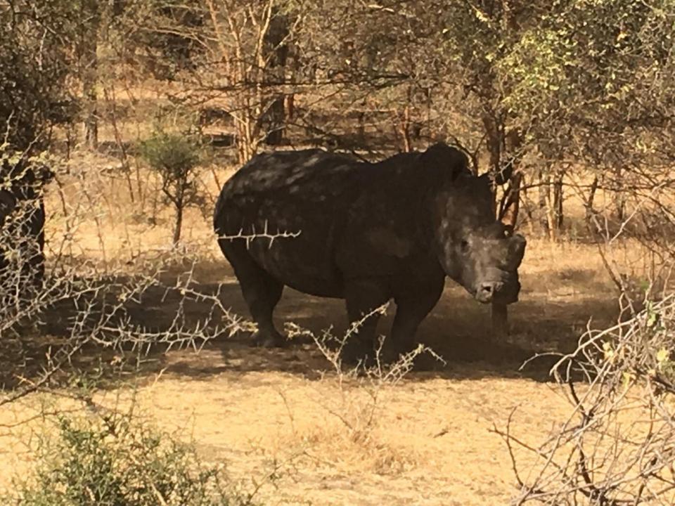 Gordon Raid Sénégal 2019