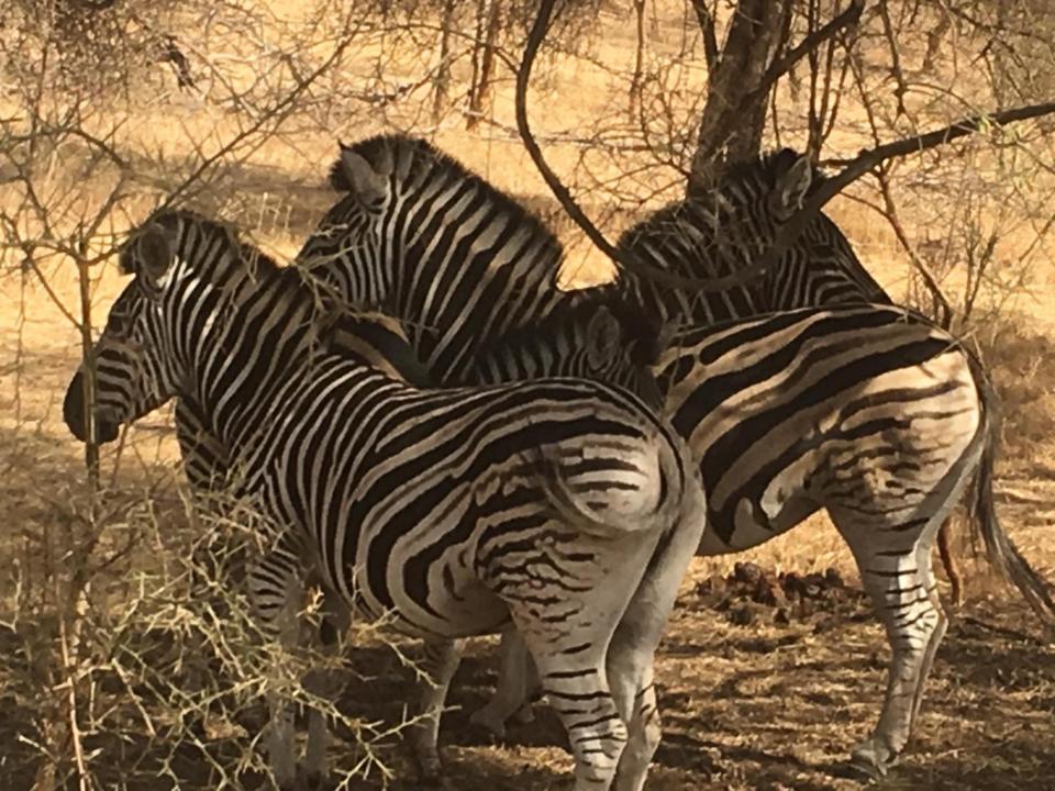 Gordon Raid Sénégal 2019