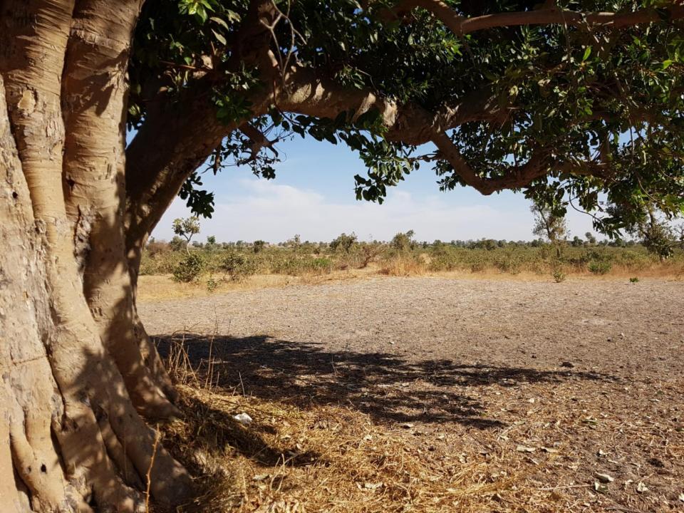 Gordon Raid Sénégal 2019