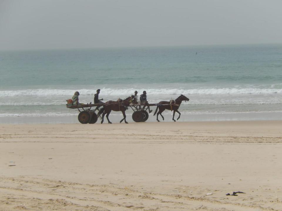 Gordon Raid Sénégal 2019