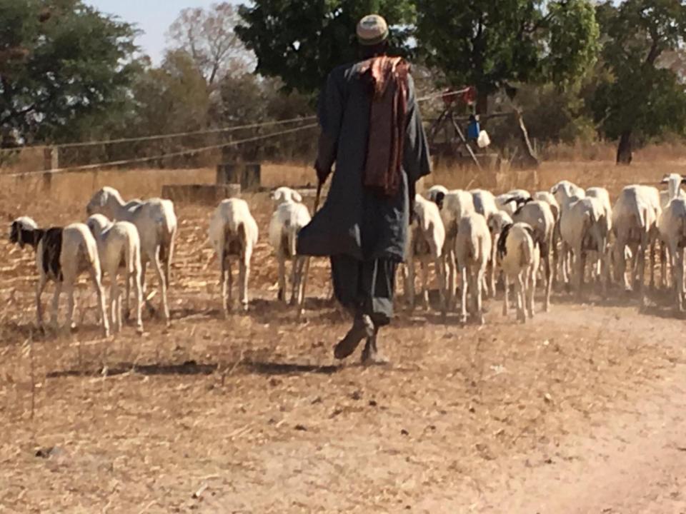 Gordon Raid Sénégal 2019