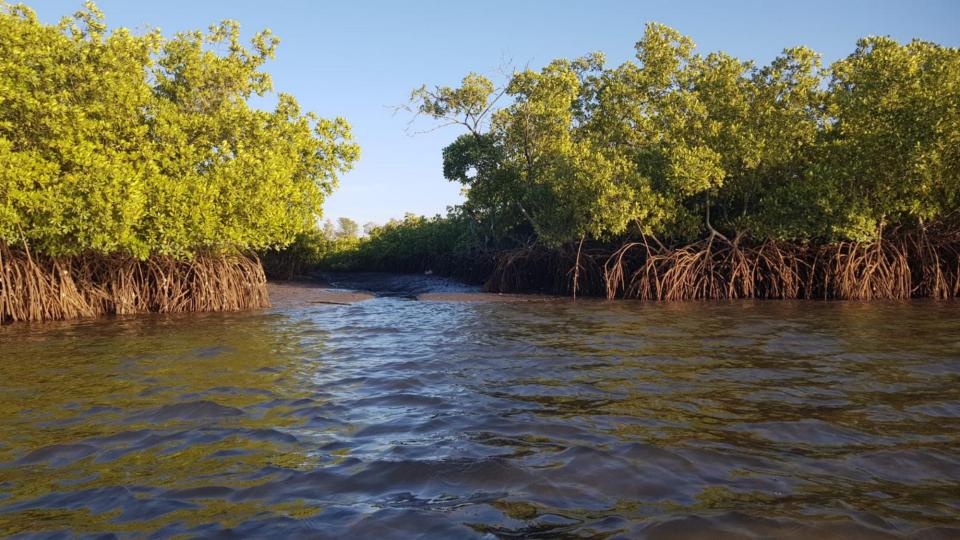 Gordon Raid Sénégal 2019