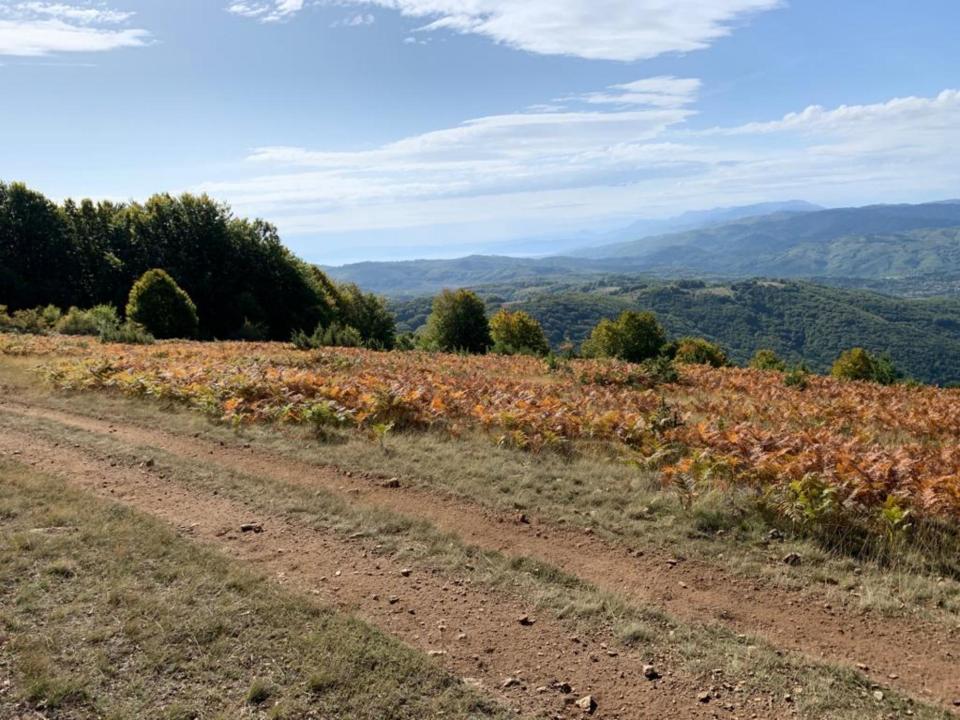 Gordon raid Macédoine 2019